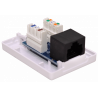 LINK MADE - Roseta 1-RJ45 Cat5e.
